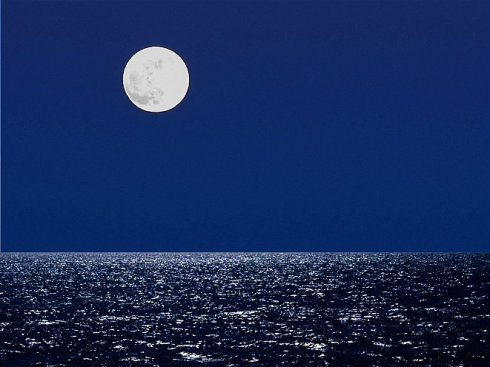 世间本真多寂寞 <wbr> <wbr>山林子 <wbr>慧商 <wbr>自然智慧诗