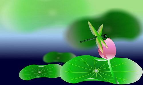 伴君 <wbr> <wbr>山林子 <wbr>慧商 <wbr>自然智慧诗