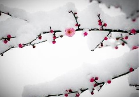 出卖 <wbr> <wbr>山林子 <wbr>慧商 <wbr>自然智慧诗