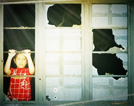 战争与和平 <wbr> <wbr>山林子 <wbr>慧商 <wbr>自然智慧诗