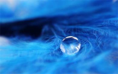 欺骗的泪 <wbr> <wbr>山林子 <wbr>慧商 <wbr>自然智慧诗