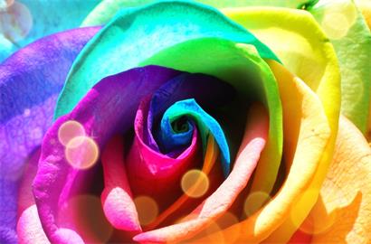 诚信与欺骗 <wbr> <wbr>山林子 <wbr>慧商 <wbr>自然智慧诗