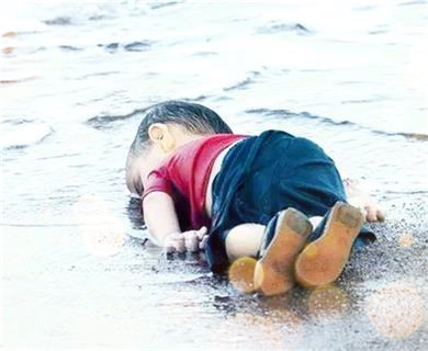 慈母泪 <wbr> <wbr>山林子 <wbr>慧商 <wbr>自然智慧诗