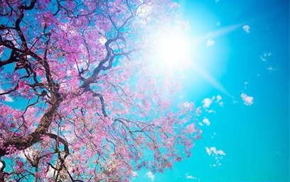 心路 <wbr> <wbr>山林子 <wbr>慧商 <wbr>自然智慧诗