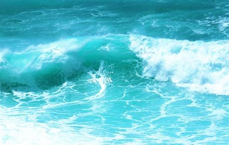 家 <wbr> <wbr>山林子 <wbr>慧商 <wbr>自然智慧诗