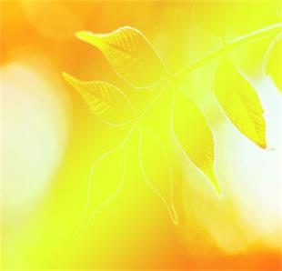 懂理与偏见 <wbr> <wbr>山林子 <wbr>慧商 <wbr>自然智慧诗