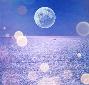 成功与失败 <wbr> <wbr>山林子 <wbr>慧商 <wbr>自然智慧诗