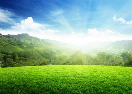 正能量啊你在哪里 <wbr> <wbr>山林子 <wbr>慧商 <wbr>自然智慧诗