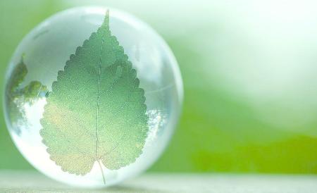 生命 <wbr> <wbr>山林子 <wbr>慧商 <wbr>自然智慧诗