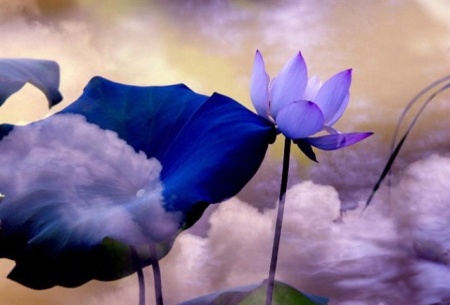 清冷 <wbr> <wbr>山林子 <wbr>慧商 <wbr>自然智慧诗