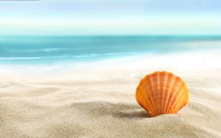 如意与不如意 <wbr> <wbr>山林子 <wbr>慧商 <wbr>自然智慧诗