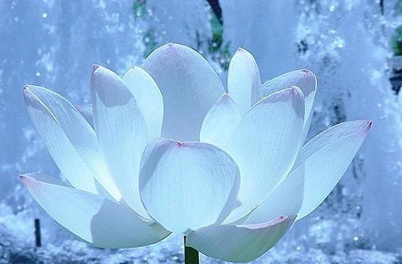 一悟二三得 <wbr> <wbr>山林子 <wbr>慧商 <wbr>自然智慧诗