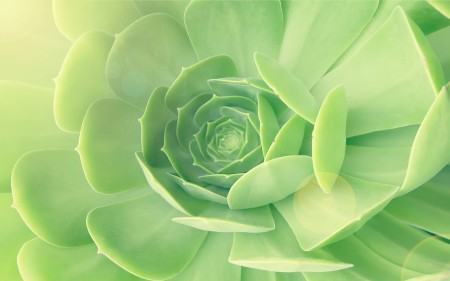 一心不乱一慧清 <wbr> <wbr>山林子 <wbr>慧商 <wbr>自然智慧诗