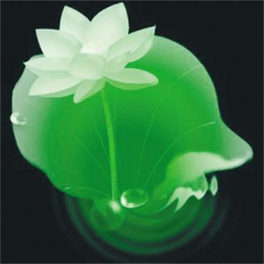 现一片真性 <wbr> <wbr>山林子 <wbr>慧商 <wbr>自然智慧诗