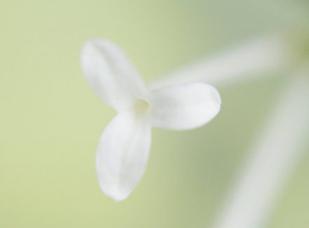 一生荣华一生醉 <wbr> <wbr>山林子 <wbr>慧商 <wbr>自然智慧诗