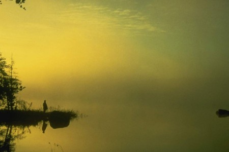 一生迷茫一切分 <wbr> <wbr>山林子 <wbr>慧商 <wbr>自然智慧诗