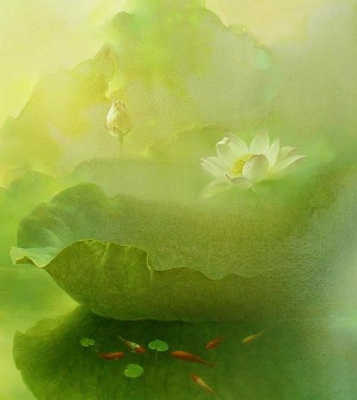 冲破迷雾扫愚情 <wbr> <wbr>山林子 <wbr>慧商 <wbr>自然智慧诗