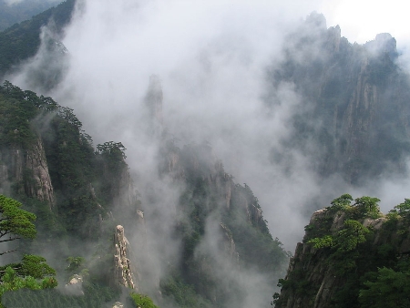 雨雾山林 <wbr> <wbr>山林子 <wbr>慧商 <wbr>自然智慧诗