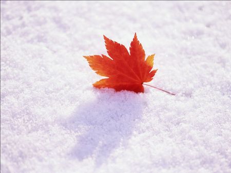 想 <wbr> <wbr>山林子 <wbr>慧商 <wbr>自然智慧诗