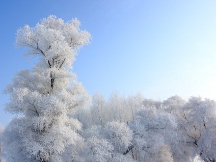 错误念头 <wbr> <wbr>山林子 <wbr>慧商 <wbr>自然智慧诗