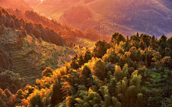 登高望远 <wbr> <wbr>山林子 <wbr>慧商 <wbr>自然智慧诗