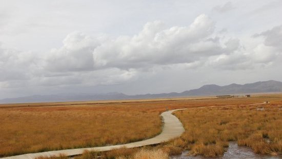 血沁长征 <wbr> <wbr>山林子 <wbr>慧商 <wbr>自然智慧诗