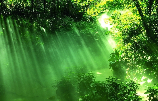 生命 <wbr>真理 <wbr>道路 <wbr> <wbr>山林子 <wbr>慧商 <wbr>自然智慧诗