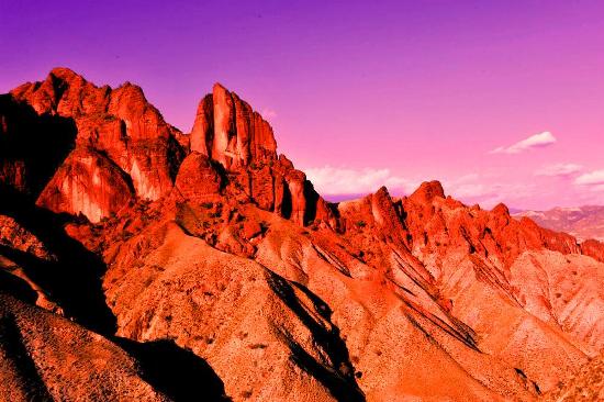 重阳情思 <wbr> <wbr>山林子 <wbr>慧商 <wbr>自然智慧诗