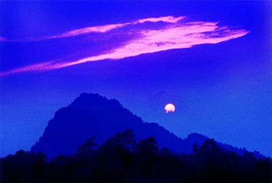 踏莎行 <wbr>重阳夜抒怀 <wbr>山林子 <wbr>慧商 <wbr>自然智慧词