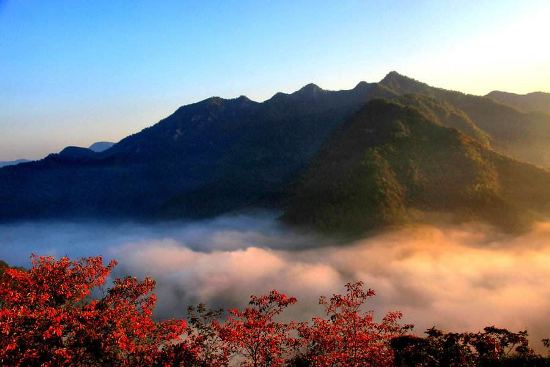 沉醉东风 <wbr>重阳吟 <wbr> <wbr>山林子 <wbr>慧商 <wbr>自然智慧曲