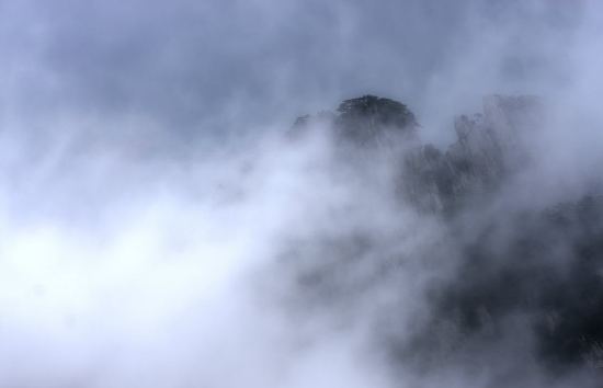 九日念战友 <wbr> <wbr>山林子 <wbr>慧商 <wbr>自然智慧诗