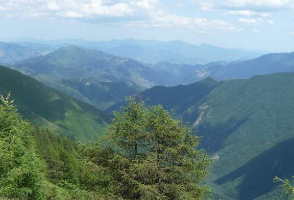 重九凌峰感怀 <wbr> <wbr>山林子 <wbr>慧商 <wbr>自然智慧诗