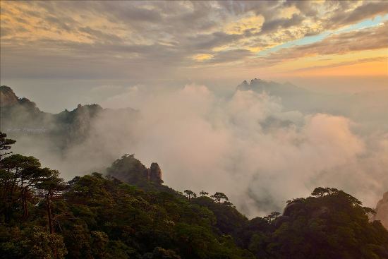 重阳共勉 <wbr> <wbr>山林子 <wbr>慧商 <wbr>自然智慧诗