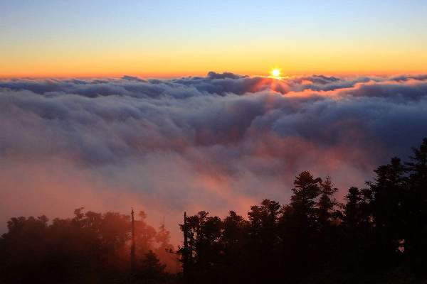 重阳登高畅想 <wbr> <wbr> <wbr>山林子 <wbr>慧商 <wbr>自然智慧诗