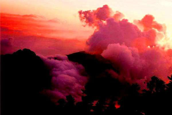 重阳敬老吟 <wbr> <wbr>山林子 <wbr>慧商 <wbr>自然智慧诗