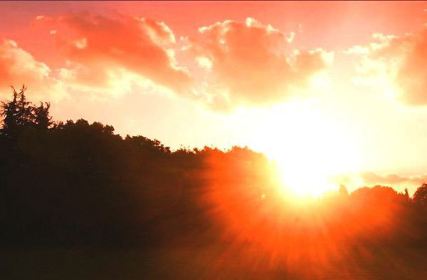 夕阳颂 <wbr> <wbr>山林子 <wbr>慧商 <wbr>自然智慧诗