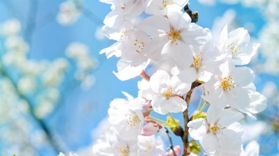 道德 <wbr>幸福 <wbr>诗意 <wbr> <wbr> <wbr> <wbr>山林子 <wbr>慧商 <wbr>自然智慧诗