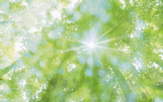 私开妄散道德显 <wbr> <wbr>山林子 <wbr>慧商 <wbr>自然智慧诗