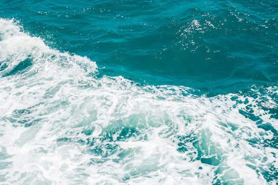 智行为一非二分 <wbr> <wbr>山林子 <wbr>慧商 <wbr>道德智慧教育