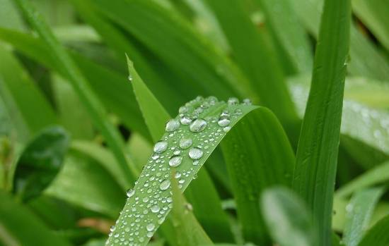 自我教育道德启 <wbr> <wbr>山林子 <wbr>慧商 <wbr>道德智慧教育