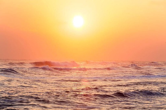 为什么 <wbr> <wbr> <wbr>山林子 <wbr>慧商 <wbr>道德智慧教育