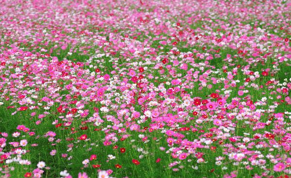 2082652_102616368000_2 (1)_看图王.jpg