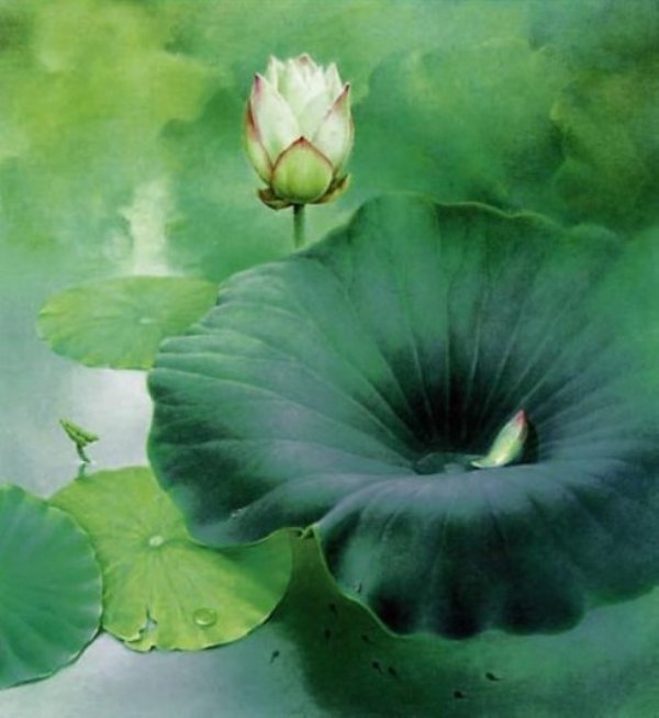 15.jpg 1604705107736098510.jpg