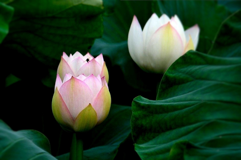 7_HZP.jpg 1609432793980057125.jpg